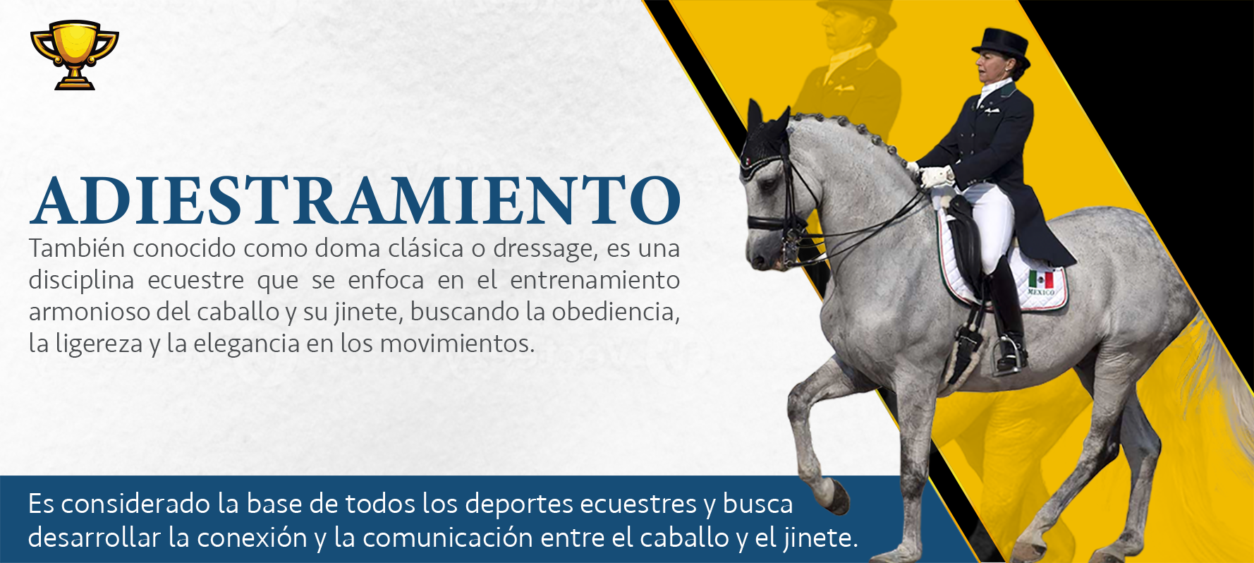 Disciplina 4