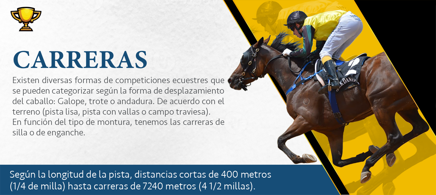 Disciplina 8