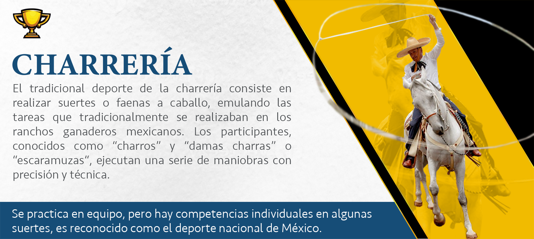Disciplina 6