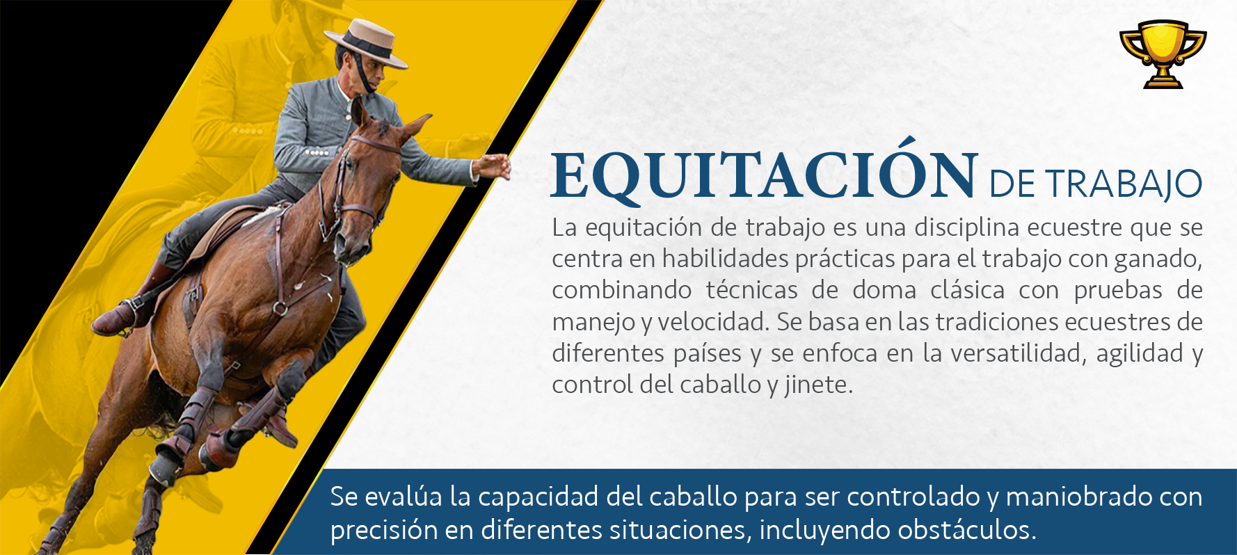 Disciplina 3