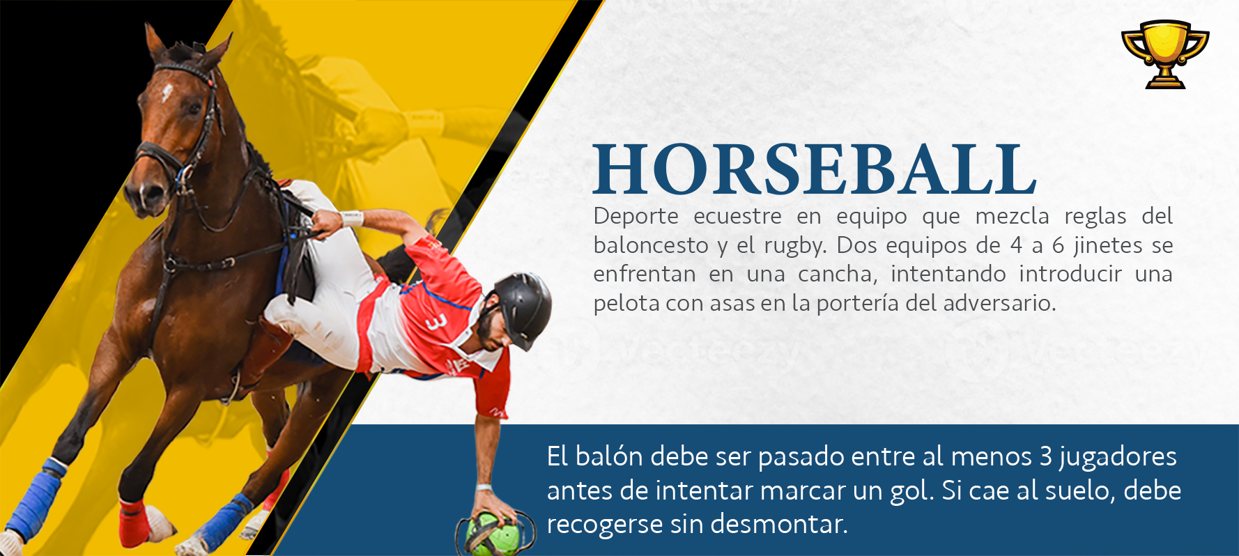 Disciplina 5