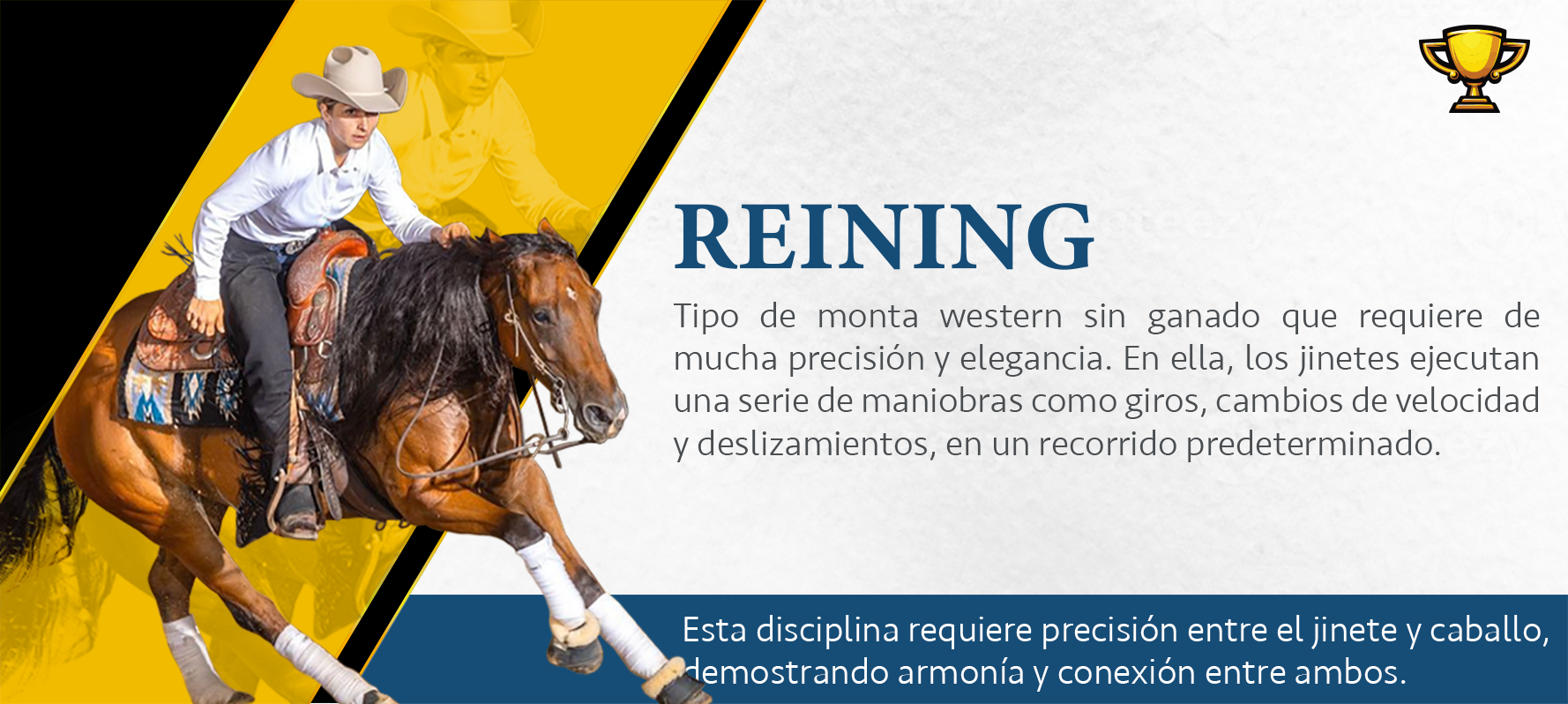 Disciplina 7
