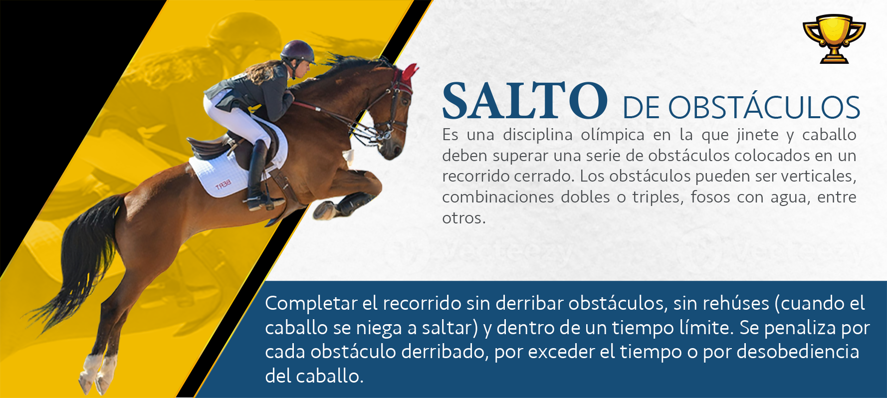 Disciplina 1