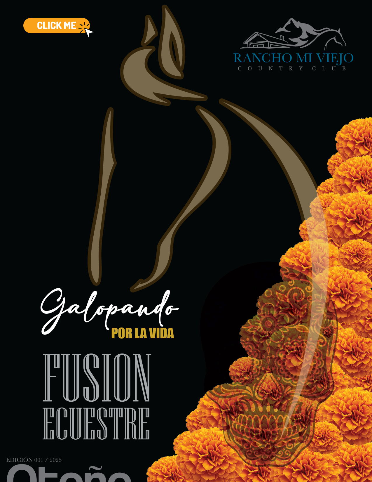 REVISTA DIGITAL ´25